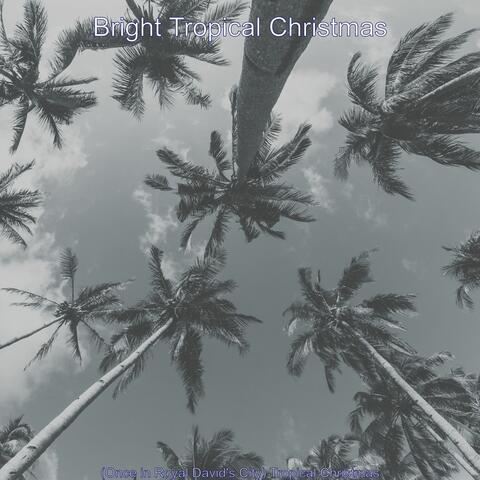 (Once in Royal David's City) Tropical Christmas