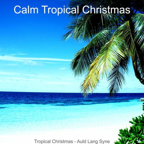 Tropical Christmas - Auld Lang Syne