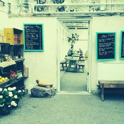 Sensational Gourmet Meals