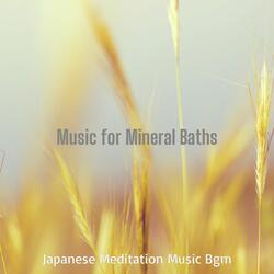 Extraordinary Ambience for Onsens