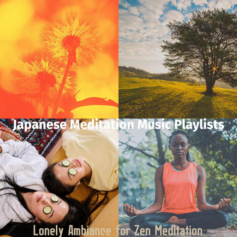 Lonely Ambiance for Zen Meditation