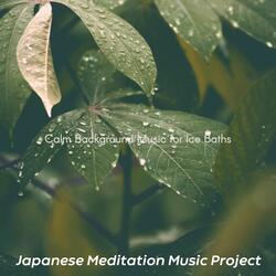 Understated Koto and Strings - Vibe for Deep Sleep