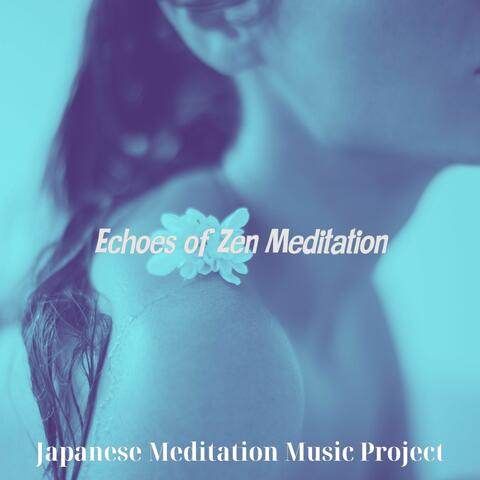 Echoes of Zen Meditation