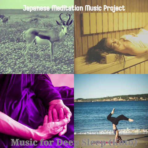 Music for Deep Sleep (Koto)