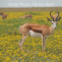Sultry Ambience for Serenity and Mindfulness