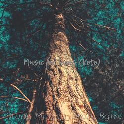 Contemporary Backdrops for Brain Power