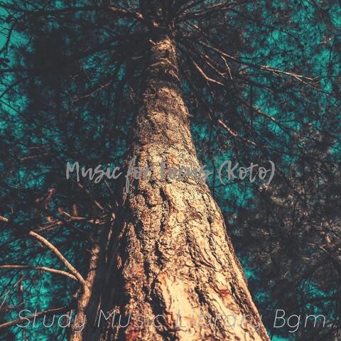 Music for Focus (Koto)