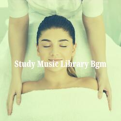 Phenomenal Music for Calming Study Sessions