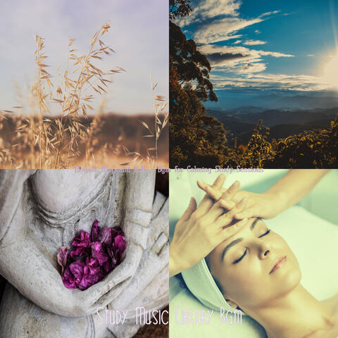 Elegant Harp and Koto - Bgm for Calming Study Sessions