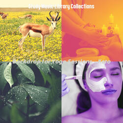 Modish Music for Yoga Sessions