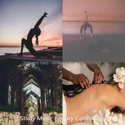Paradise Like Ambience for Calming Study Sessions