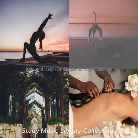Koto and Harp - Ambiance for Yoga Sessions