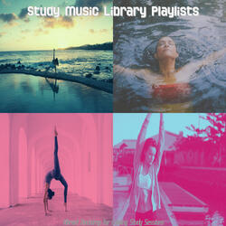 Spacious Koto and Strings - Vibe for Study Therapy