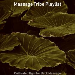 Shakuhachi and Koto Soundtrack for Oil Massage