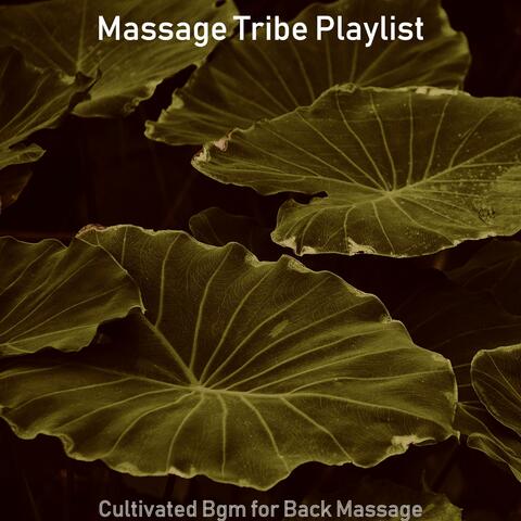 Cultivated Bgm for Back Massage