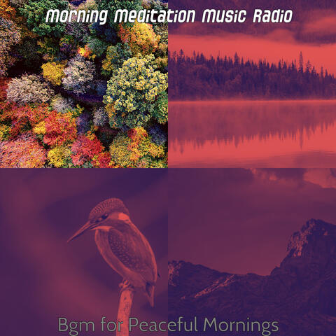Bgm for Peaceful Mornings