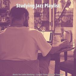 High Class Ambiance for Studying at Home