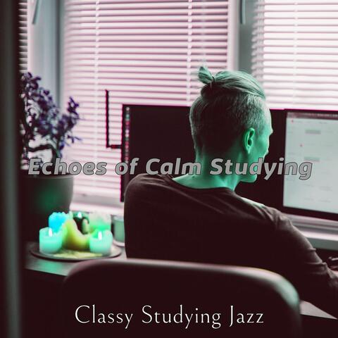 Echoes of Calm Studying
