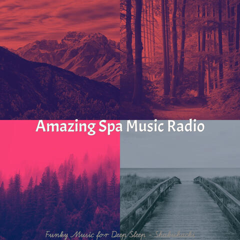Funky Music for Deep Sleep - Shakuhachi