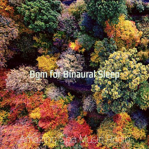 Bgm for Binaural Sleep