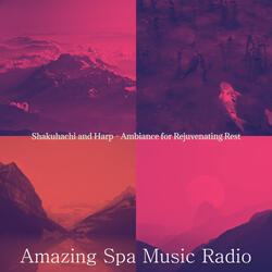 Excellent Shakuhachi and Harps - Vibe for Deep Sleep