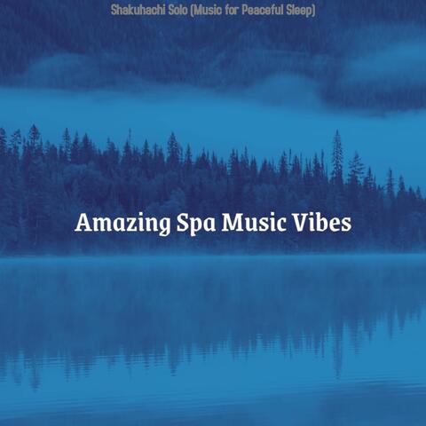 Shakuhachi Solo (Music for Peaceful Sleep)
