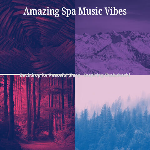 Backdrop for Peaceful Sleep - Inspiring Shakuhachi