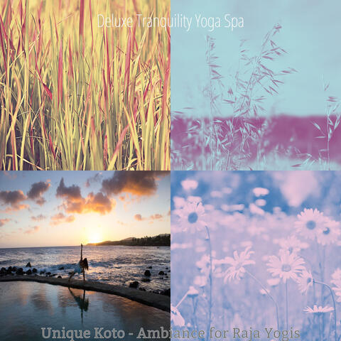 Unique Koto - Ambiance for Raja Yogis