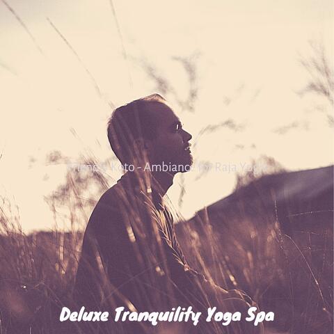 Friendly Koto - Ambiance for Raja Yogis