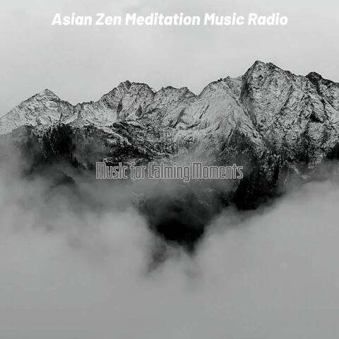 Music for Calming Moments