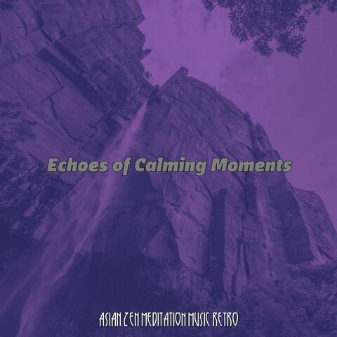 Echoes of Calming Moments