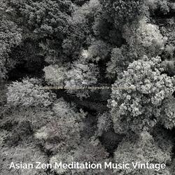 Spacious Moods for Zen Meditation