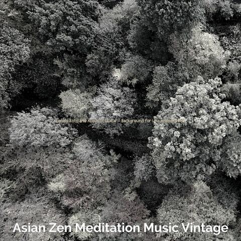 Lonely Koto and Acoustic Guitar - Background for 1 Hour Meditation