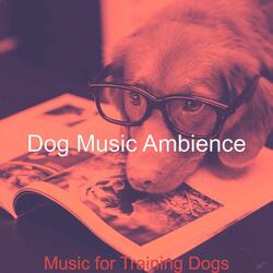 Retro Solo Piano Jazz - Vibe for Training Dogs