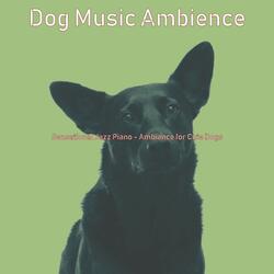 Playful Solo Piano Jazz - Vibe for Doggies
