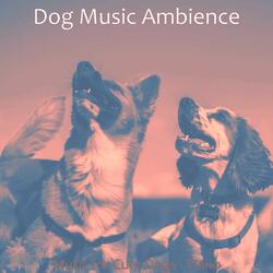 Exciting Backdrops for Puppies