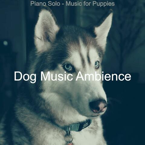 Piano Solo - Music for Puppies