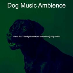 Debonair Ambience for Separation Anxiety