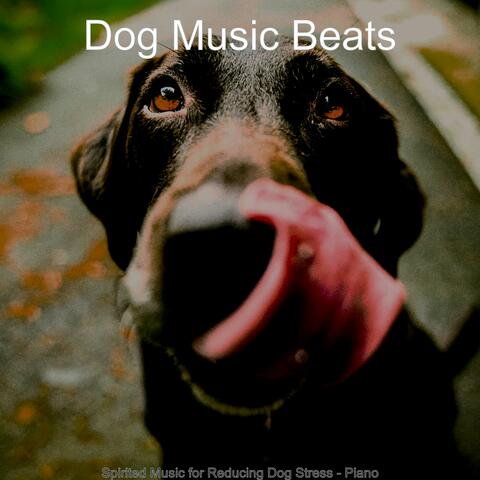 Spirited Music for Reducing Dog Stress - Piano