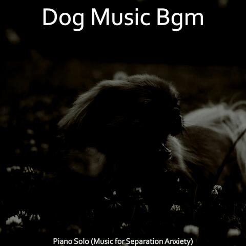 Piano Solo (Music for Separation Anxiety)