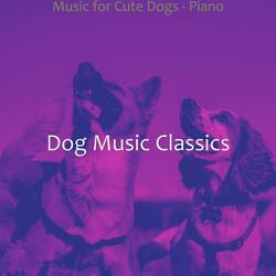 Quiet Music for Separation Anxiety