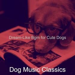 Exciting Solo Piano Jazz - Vibe for Training Dogs