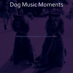 Retro Ambiance for Reducing Dog Stress