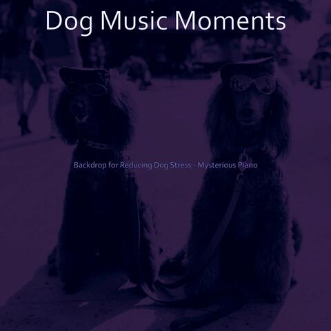 Backdrop for Reducing Dog Stress - Mysterious Piano