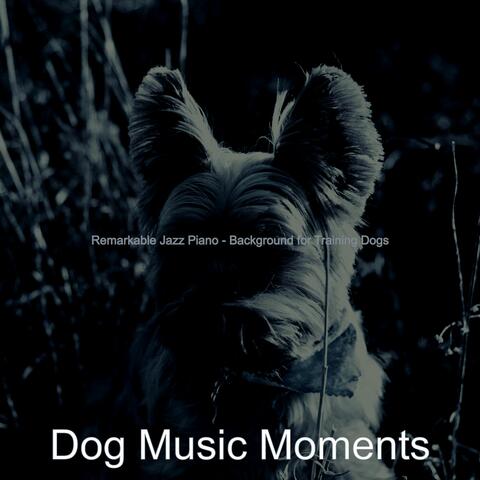 Remarkable Jazz Piano - Background for Training Dogs