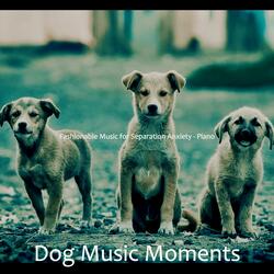 Simple Solo Piano Jazz - Vibe for Reducing Dog Stress