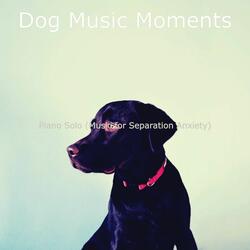 Funky Moods for Puppies