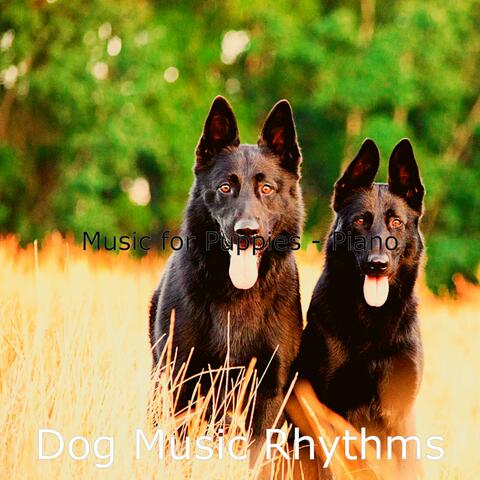 Music for Puppies - Piano