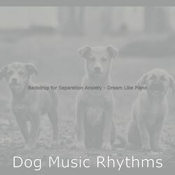 Sparkling Ambiance for Doggies