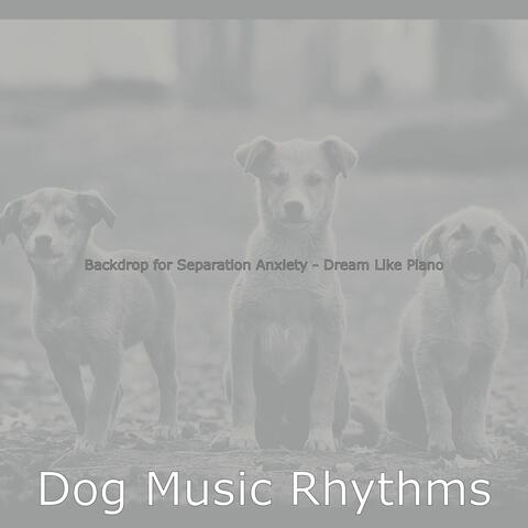 Backdrop for Separation Anxiety - Dream Like Piano